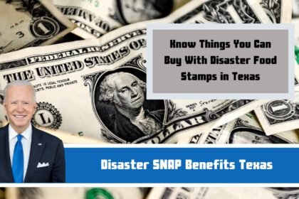 Disaster SNAP Benefits Texas: Know Things You Can Buy With Disaster Food Stamps in Texas