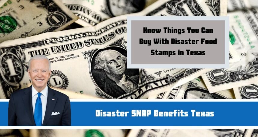 Disaster SNAP Benefits Texas: Know Things You Can Buy With Disaster Food Stamps in Texas