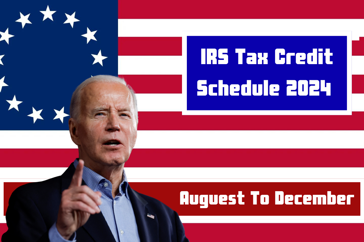 IRS Tax Credit Schedule AugustDecember 2024 Payment Dates and Amount News